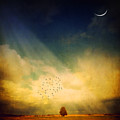 Echo Of A Sigh
